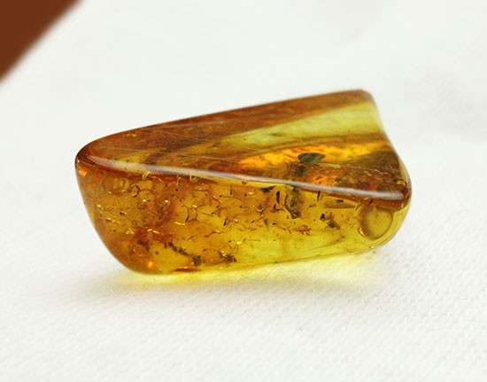 約4000万年前の世界がここに詰まっています!厚みのある、バルト海産虫入り琥珀(その7)