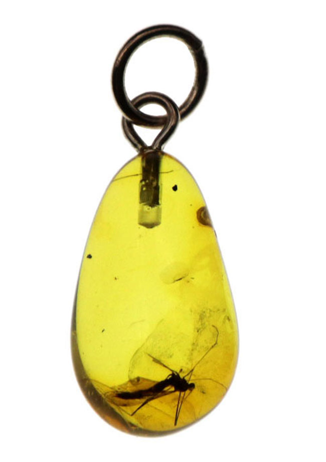 世界最古の宝石！大きな羽虫を内包したバルト海産琥珀（Amber）ペンダントトップ（シルバーチェーン、高級ジュエリーケース付き）（その1）