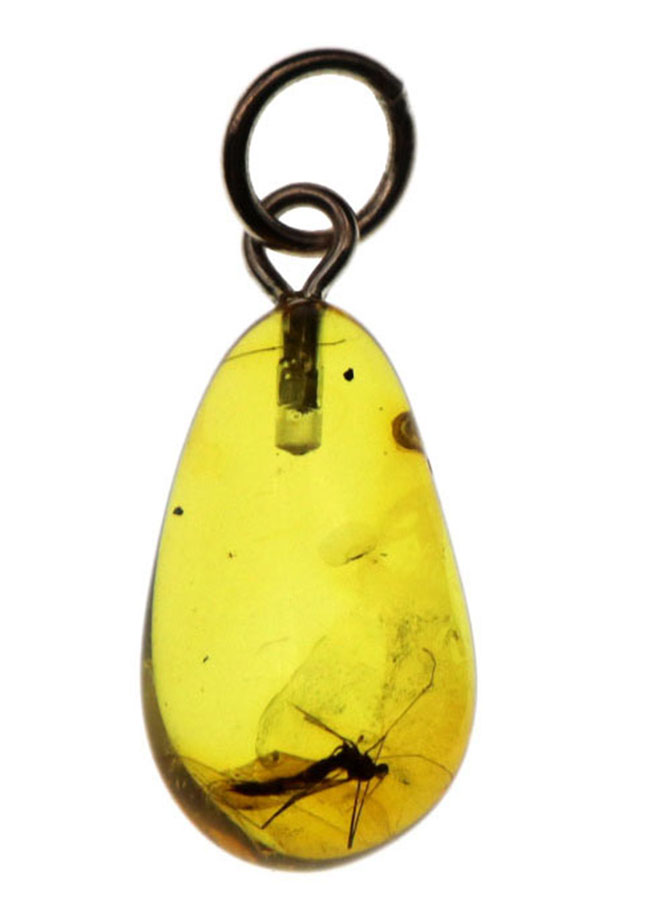 世界最古の宝石!大きな羽虫を内包したバルト海産琥珀(Amber)ペンダントトップ(シルバーチェーン、高級ジュエリーケース付き)(その1)