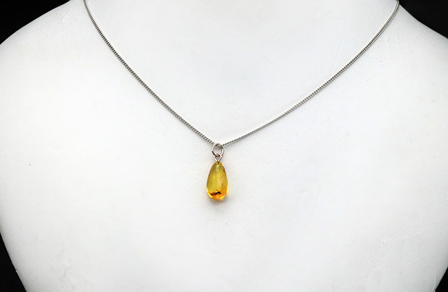 世界最古の宝石!大きな羽虫を内包したバルト海産琥珀(Amber)ペンダントトップ(シルバーチェーン、高級ジュエリーケース付き)(その3)