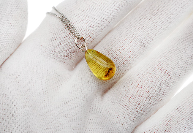 世界最古の宝石！大きな羽虫を内包したバルト海産琥珀（Amber）ペンダントトップ（シルバーチェーン、高級ジュエリーケース付き）（その4）