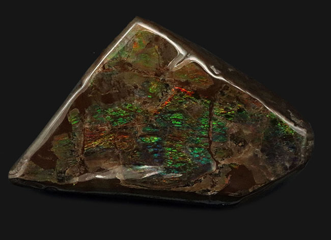希少な寒色系!爽やかなグリーンと時折見られるブルーが魅力的なアンモライト(Ammolite)のピース(その1)