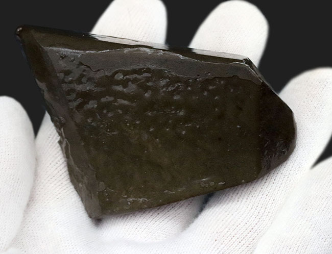 希少な寒色系!爽やかなグリーンと時折見られるブルーが魅力的なアンモライト(Ammolite)のピース(その5)
