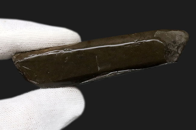 希少な寒色系!爽やかなグリーンと時折見られるブルーが魅力的なアンモライト(Ammolite)のピース(その6)