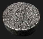 ペーパーウェイトに最適！国産化石マニアックシリーズ、岐阜県金生山産で採集されたフズリナのポリッシュ標本
