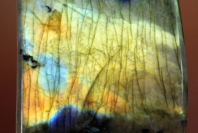 表面から湧き上がる強烈なシャンパンゴールドを放つ鉱物ラブラドライト(Labradorite)(その11)