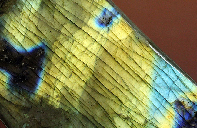表面から湧き上がる強烈なシャンパンゴールドを放つ鉱物ラブラドライト(Labradorite)(その12)