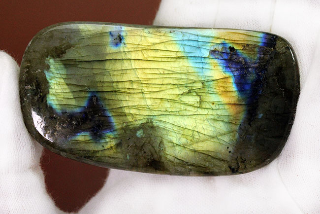 表面から湧き上がる強烈なシャンパンゴールドを放つ鉱物ラブラドライト(Labradorite)(その14)