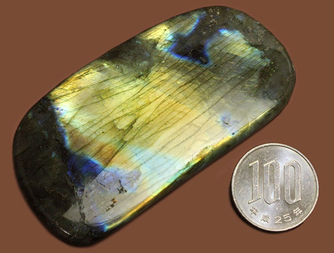 表面から湧き上がる強烈なシャンパンゴールドを放つ鉱物ラブラドライト(Labradorite)(その15)