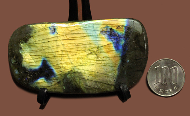 表面から湧き上がる強烈なシャンパンゴールドを放つ鉱物ラブラドライト(Labradorite)(その16)
