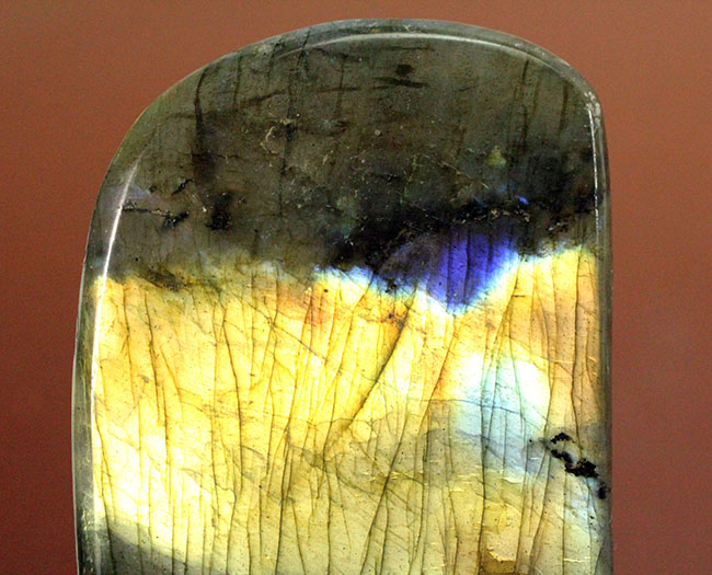 表面から湧き上がる強烈なシャンパンゴールドを放つ鉱物ラブラドライト(Labradorite)(その7)
