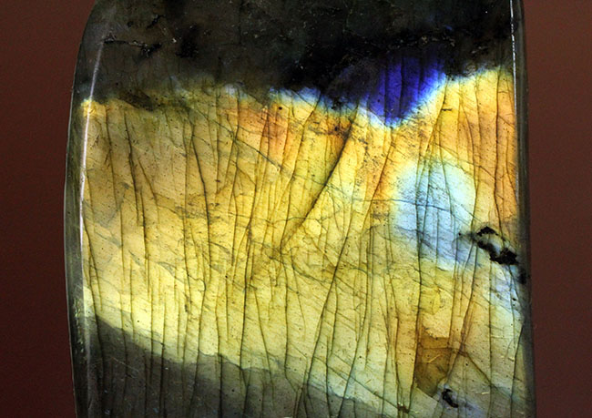表面から湧き上がる強烈なシャンパンゴールドを放つ鉱物ラブラドライト(Labradorite)(その8)