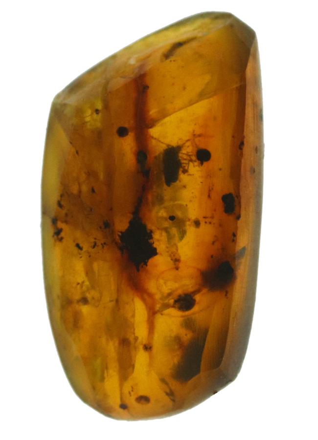 琥珀コレクター注目のアイテム、ミャンマー産の白亜紀に起源を持つ琥珀、バーマイト（Burmite）。内部に虫あり！（その1）