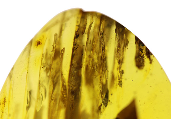 光をあてると白から黒に変化する箇所あり!バルト海産の琥珀(Amber)ドロップ型のカボション(その2)