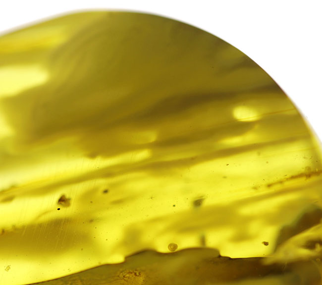 光をあてると白から黒に変化する箇所あり!バルト海産の琥珀(Amber)ドロップ型のカボション(その3)