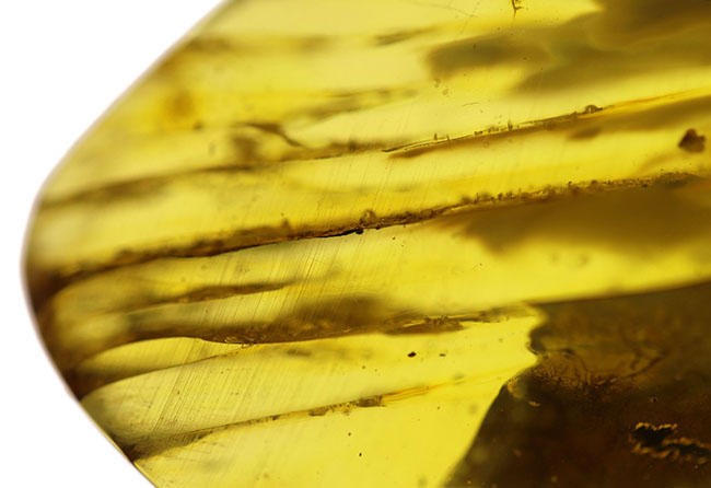 光をあてると白から黒に変化する箇所あり！バルト海産の琥珀（Amber）ドロップ型のカボション（その4）