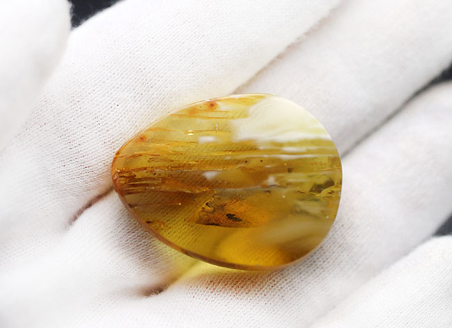 光をあてると白から黒に変化する箇所あり!バルト海産の琥珀(Amber)ドロップ型のカボション(その6)