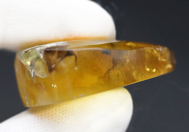 光をあてると白から黒に変化する箇所あり!バルト海産の琥珀(Amber)ドロップ型のカボション(その7)