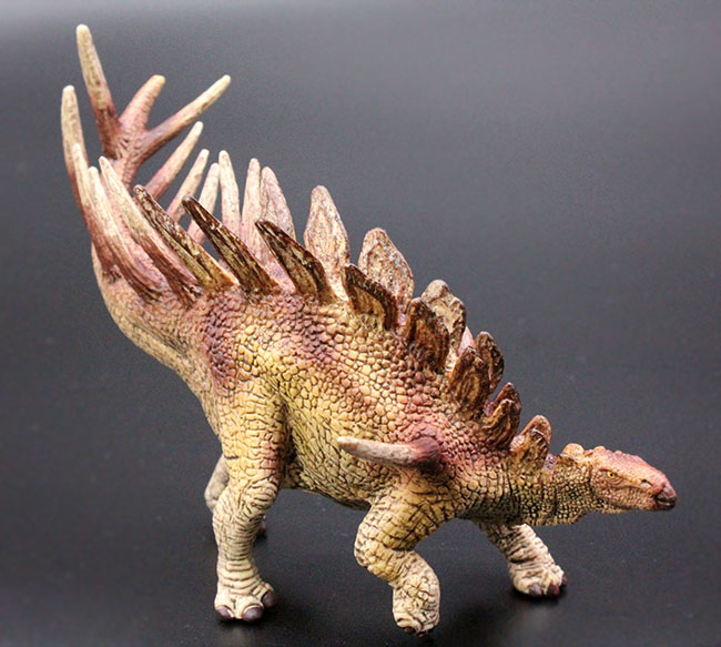 ケントロサウルス恐竜フィギュア。本物化石1個付き!(その1)