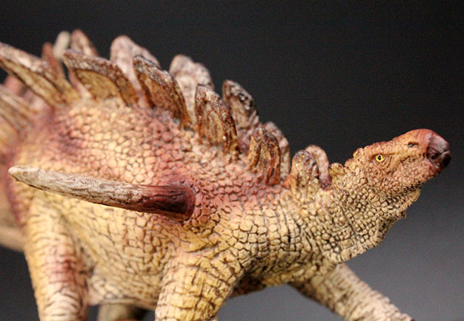 ケントロサウルス恐竜フィギュア。本物化石1個付き!(その2)