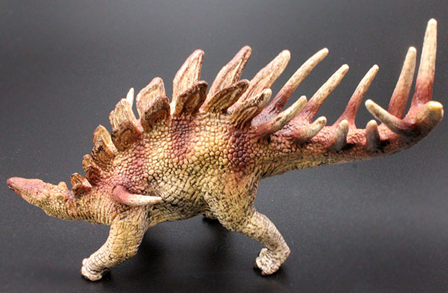 ケントロサウルス恐竜フィギュア。本物化石１個付き！（その4）