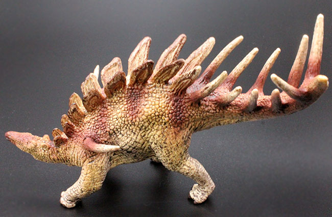 ケントロサウルス恐竜フィギュア。本物化石1個付き!(その4)