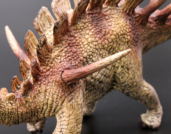 ケントロサウルス恐竜フィギュア。本物化石１個付き！（その5）