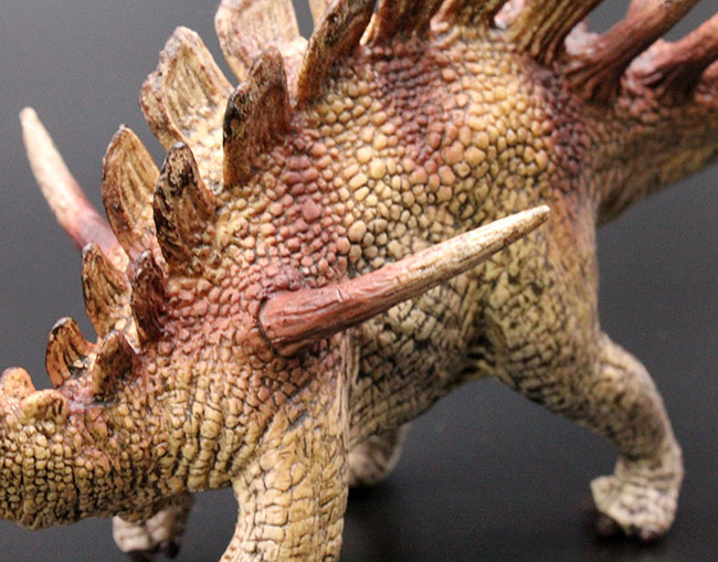 ケントロサウルス恐竜フィギュア。本物化石1個付き!(その5)