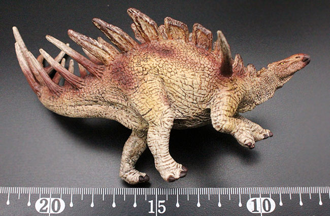 ケントロサウルス恐竜フィギュア。本物化石１個付き！（その8）