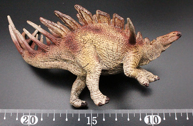 ケントロサウルス恐竜フィギュア。本物化石1個付き!(その8)