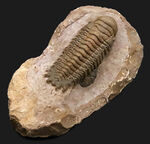 お客様の声　写真