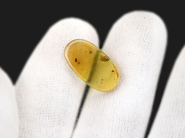 約1億年を凝縮した小さなタイムカプセル！ミャンマー産琥珀、バーマイト（Burmite）（その6）