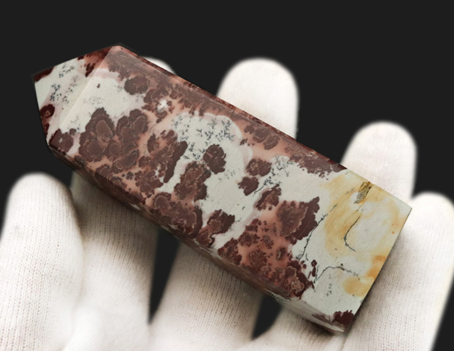 オベリスク型に整えられた縁起物！自然が生み出すアート、風景画のよう