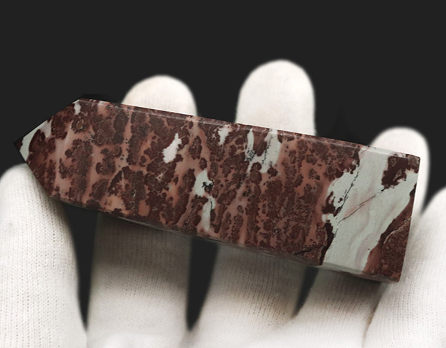 オベリスク型に整えられた縁起物！自然が生み出すアート、風景画のよう