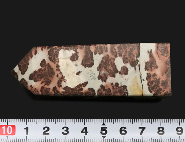 オベリスク型に整えられた縁起物！自然が生み出すアート、風景画のよう