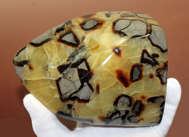 最高のイエローセプタリアンをお探しの方に。特大かつヘビー級、ハイクラスのイエローセプタリアン（Yellow septarian）（その6）