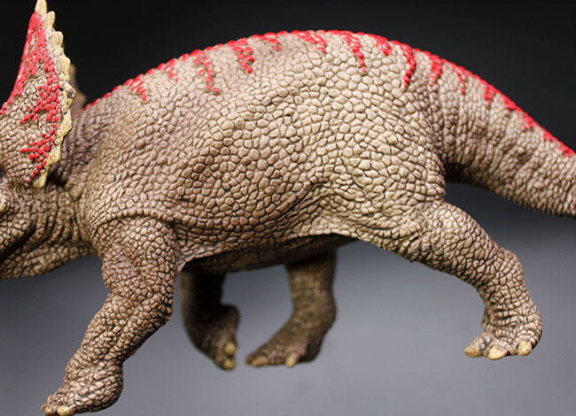 本物化石１個付き！トリケラトプス恐竜フィギュア（送料無料・ラッピング無料）（その2）