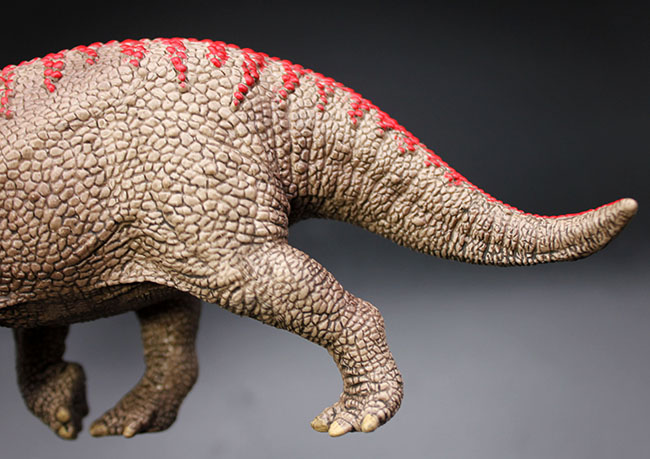 本物化石１個付き！トリケラトプス恐竜フィギュア（送料無料・ラッピング無料）（その3）