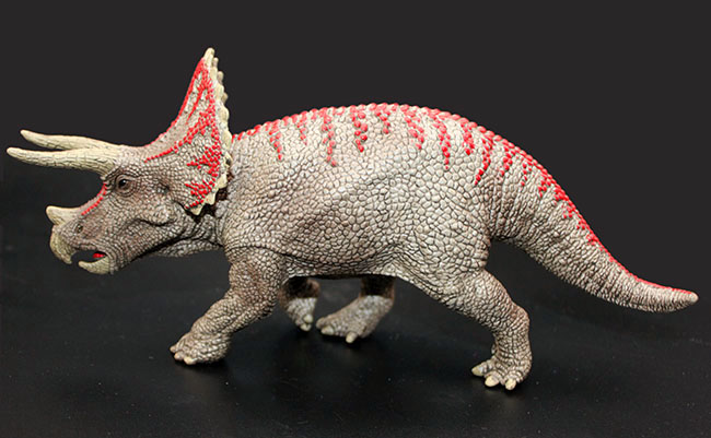 本物化石１個付き！トリケラトプス恐竜フィギュア（送料無料・ラッピング無料）（その7）