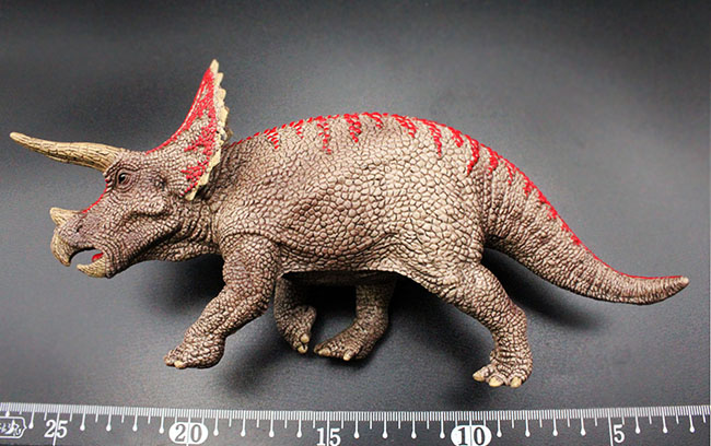 本物化石1個付き!トリケラトプス恐竜フィギュア(その8)