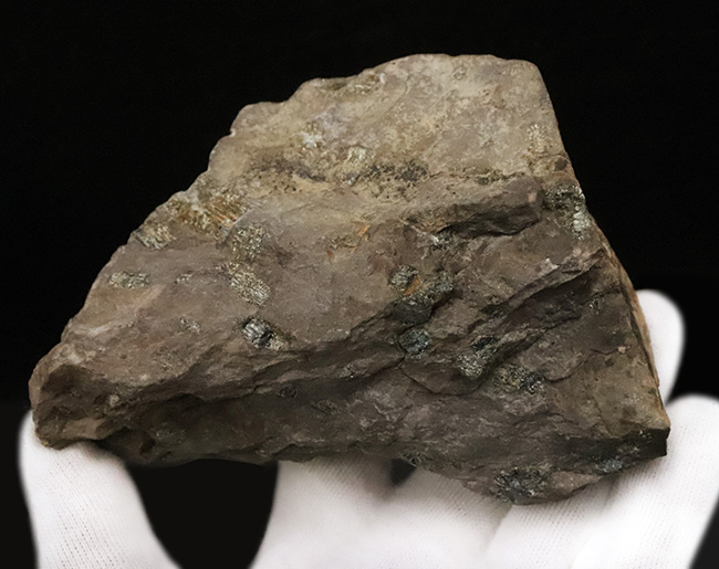 「永遠に散らない桜」京都・亀岡市産、岩石の中に可憐な桜の花が咲いたような姿を持つ不思議な石、「桜石」（その3）