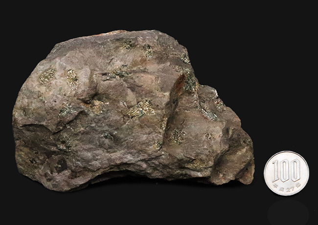 「永遠に散らない桜」京都・亀岡市産、岩石の中に可憐な桜の花が咲いたような姿を持つ不思議な石、「桜石」（その8）