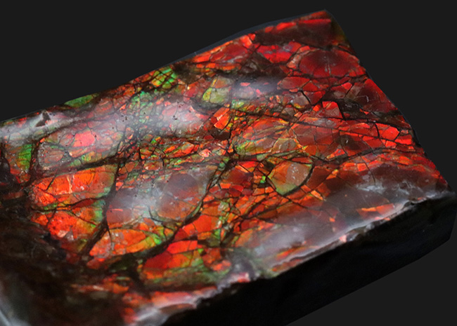 情熱的な赤を輝かせるアンモライト（Ammolite）のピース（その1）