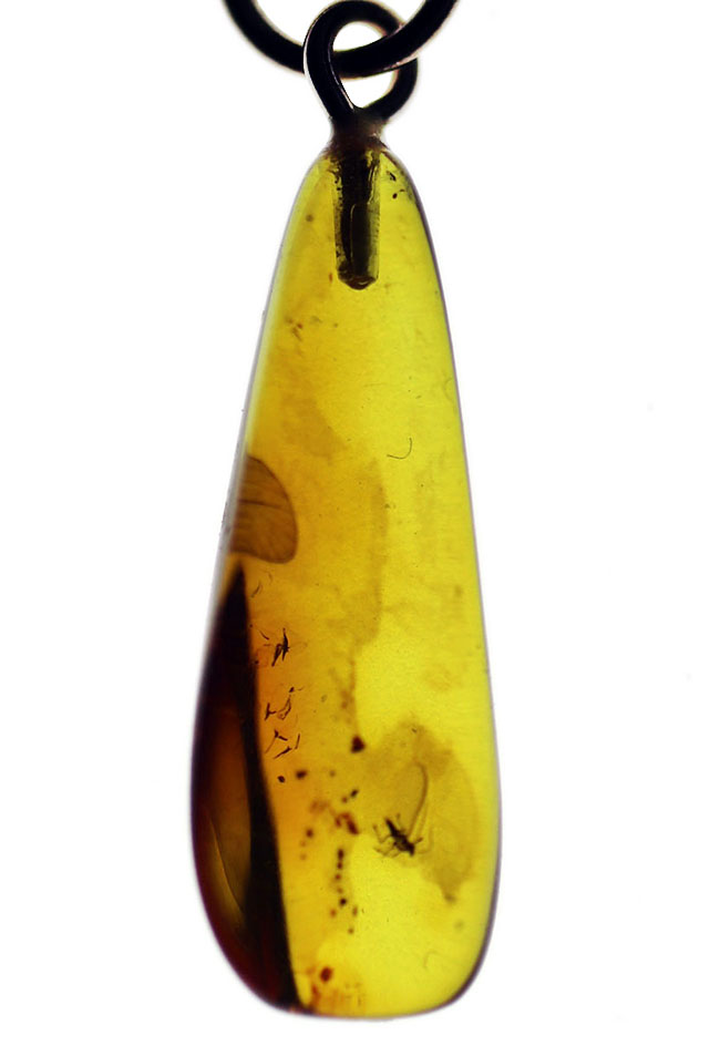 バルト海産の透明度の高い、虫入り琥珀(Amber)を使ったペンダントトップ(シルバーチェーン、高級ジュエリーケース付き)(その1)