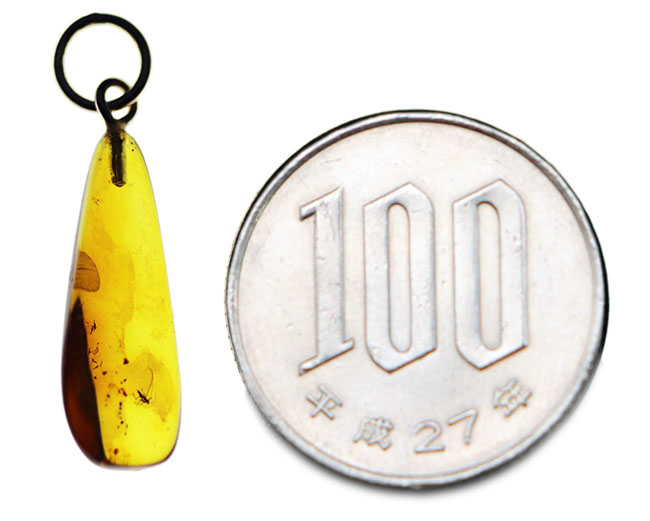 バルト海産の透明度の高い、虫入り琥珀(Amber)を使ったペンダントトップ(シルバーチェーン、高級ジュエリーケース付き)(その5)