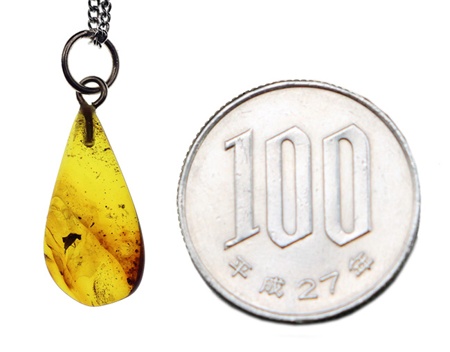 およそ４０００万年前の虫を内包したバルト海産の琥珀のペンダントトップ（シルバーチェーン、高級ジュエリーケース付き）（その8）