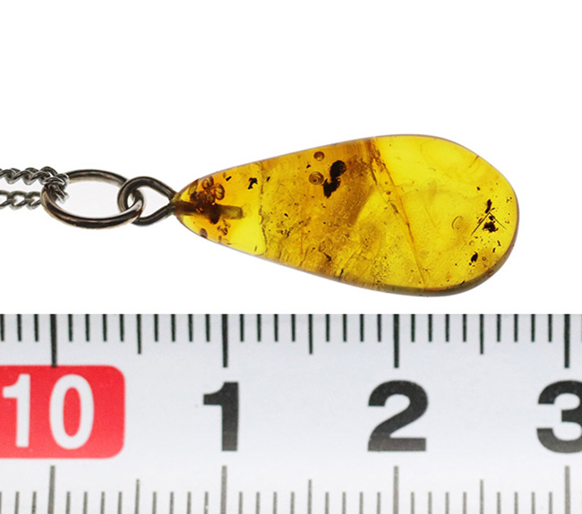 最古の宝石!虫入りバルティックアンバー、バルト海産琥珀のペンダントトップ(シルバーチェーン、高級ジュエリーケース付き)(その8)