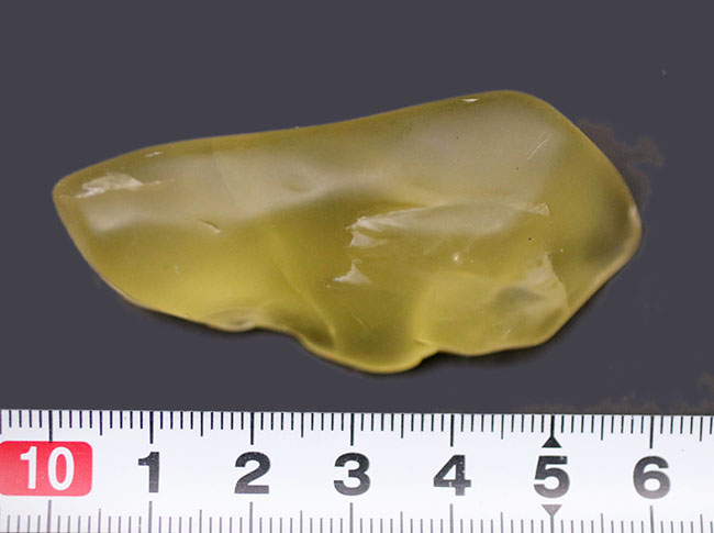 激安セール】 22800万年前にリビア砂漠に落ちた 彡 リビアングラス