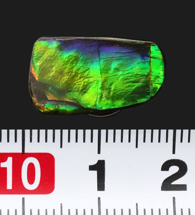 希少色の青を楽しめる！生物起源の宝石、アンモライト（Ammolite）を使ったピンブローチ（その6）