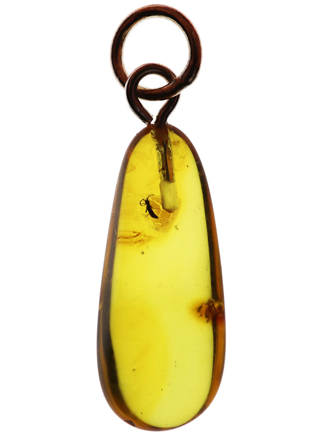 リトリアニンゴールド！愛らしいサイズの虫を内包したバルト海産琥珀（Amber）を使ったペンダントトップ（シルバーチェーン、高級ジュエリーケース付き。）（その1）